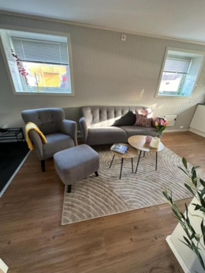 Central one bedroom Apartment in Leknes